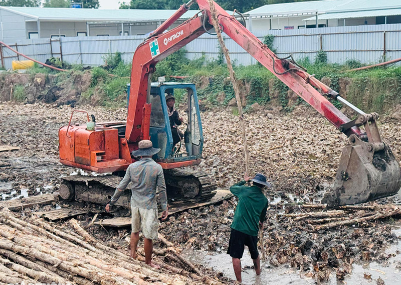 Xử lý cọc cừ tràm Vành đai 3 TP.HCM